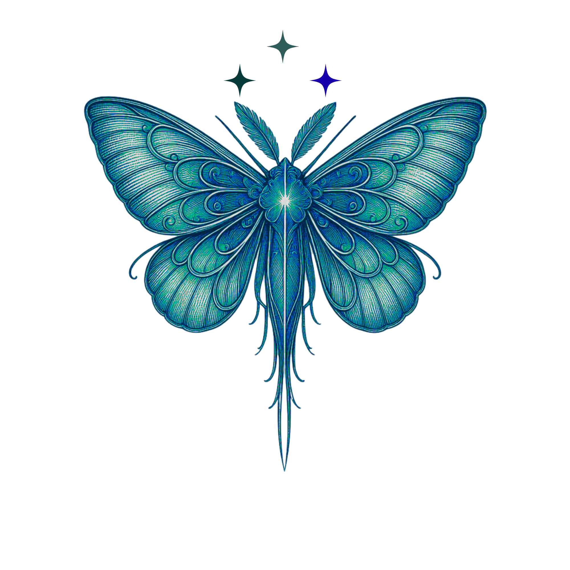 The Eloria moth